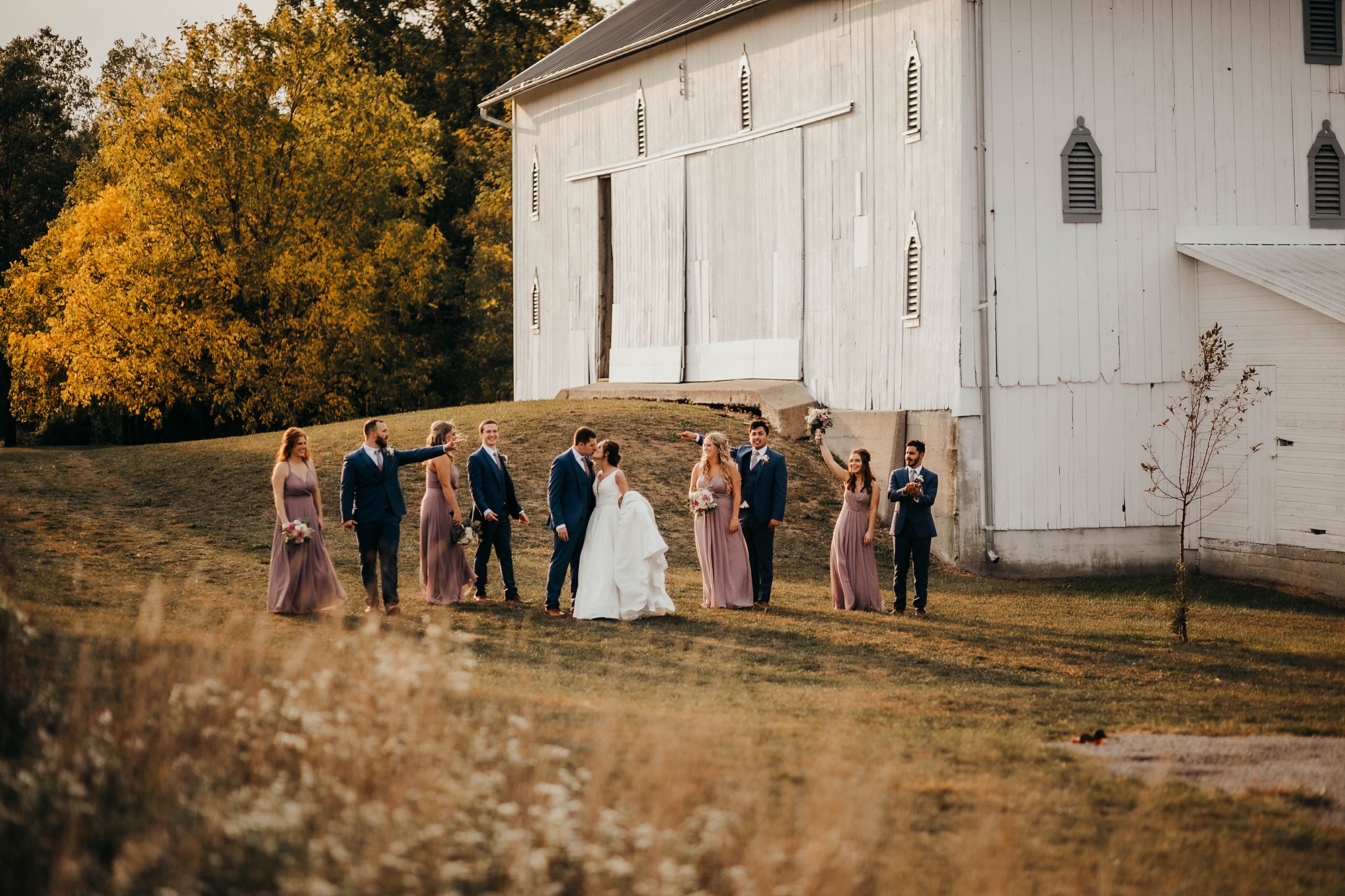 wedding party walks by barn in Montpelier OH